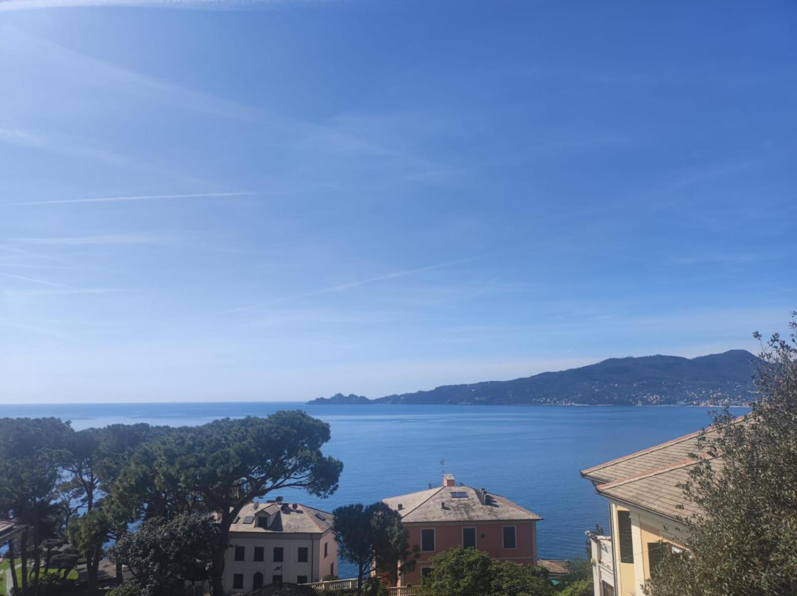 Al Mare Davanti A Portofino - By The Sea In Front Of Portofino Zoagli Exteriör bild